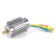 TYPHOON  Moteur BRUSHLESS