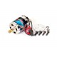 Xtreme tuning Esky Honey Bee FP - moteur 380