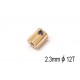 Xtreme Pignon 2.3mm 12T